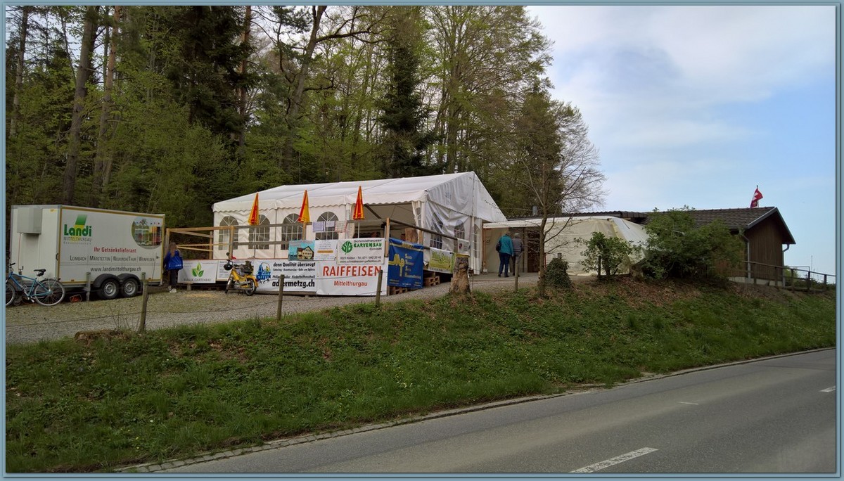 WP 20190422 17 22 16 Pro