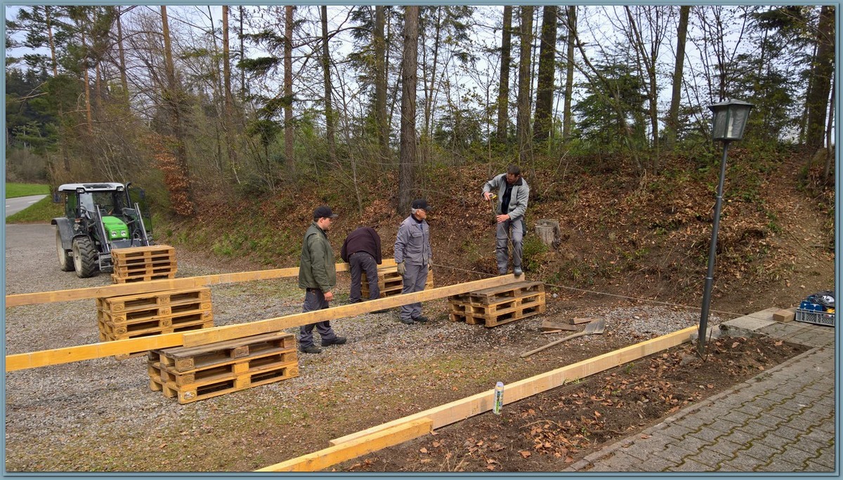 WP 20190413 11 30 18 Pro LI